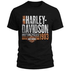 Camiseta personalizada 100% algodon 180gr.