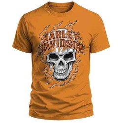 Camiseta personalizada 100% algodon 180gr.