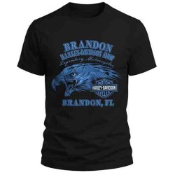 Camiseta personalizada 100% algodon 180gr.