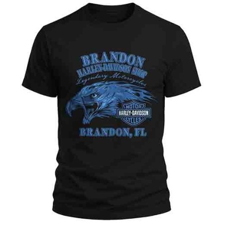 Camiseta personalizada 100% algodon 180gr.