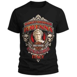 Camiseta personalizada 100% algodon 180gr.