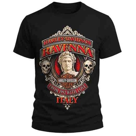Camiseta personalizada 100% algodon 180gr.