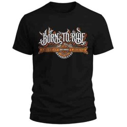Camiseta personalizada 100% algodon 180gr.