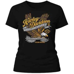 Camiseta personalizada 100% algodon 163 gr.
