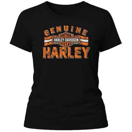 Camiseta personalizada 100% algodon 163 gr.