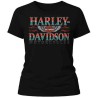 Camiseta personalizada 100% algodon 163 gr.